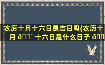 农厉十月十六日是吉日吗(农历十月 🐴 十六日是什么日子 🕊 是黄道吉日吗)